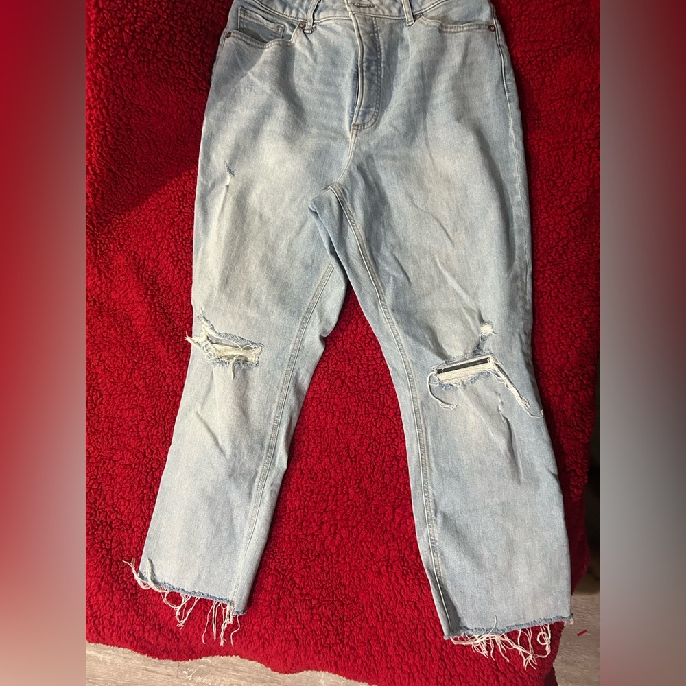 Express Light Blue Distressed curvy mom Jeans